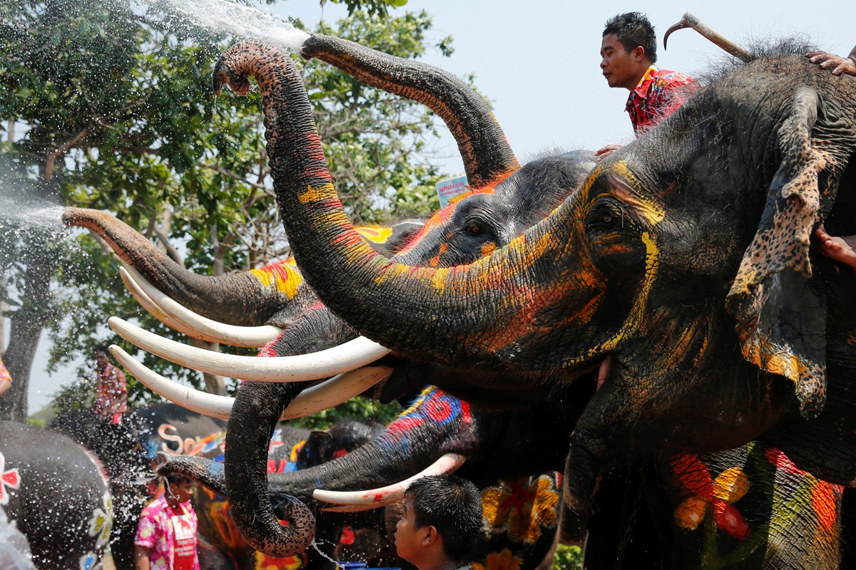 Thai Lan tung bung trong le hoi te nuoc Songkran-Hinh-14